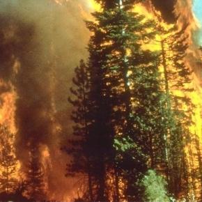 a-wildfire-in-california-bureau-of-land-management-wikimedia-commons_830033.jpg