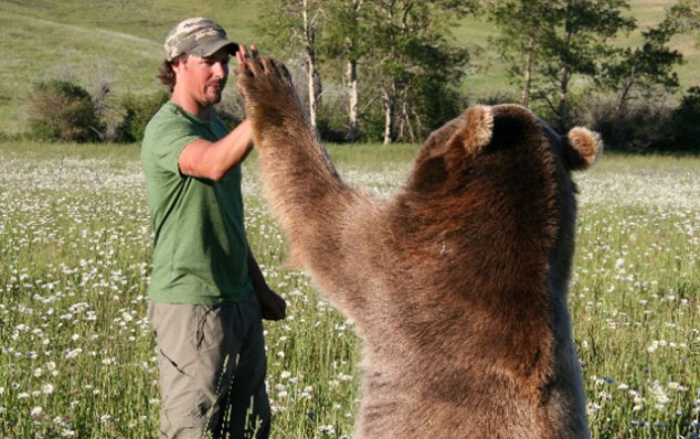 bear-high-five.jpg