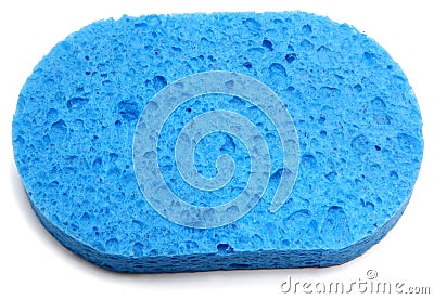 blue-sponge-7643820.jpg