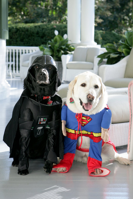 Cheney%27s_dogs_dressed_for_halloween.jpg