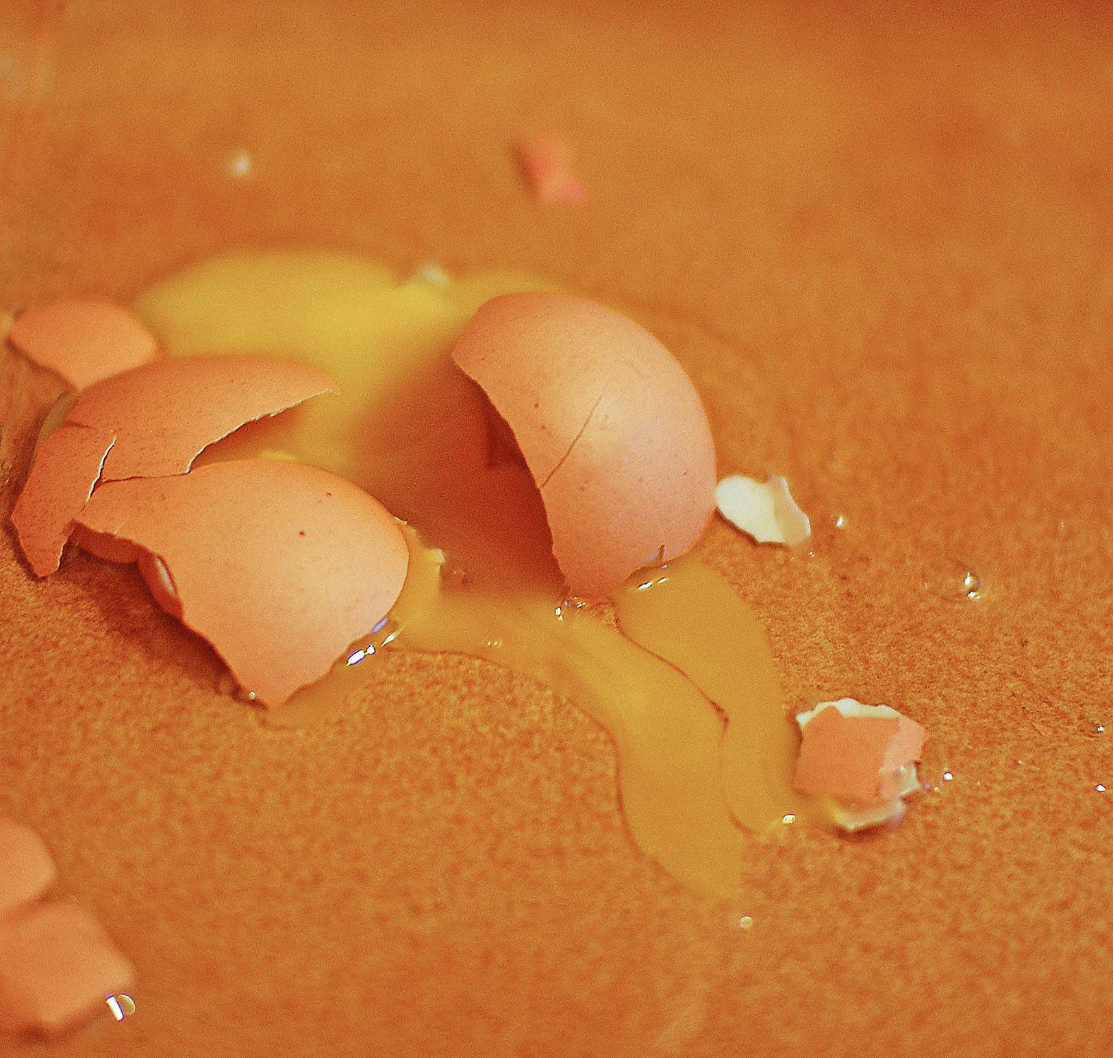 Broken_egg_orange.jpg