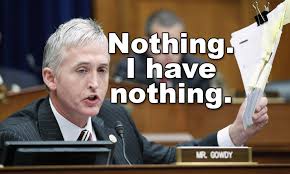 Nothing-I-have-nothing-Trey-Gowdy.jpg