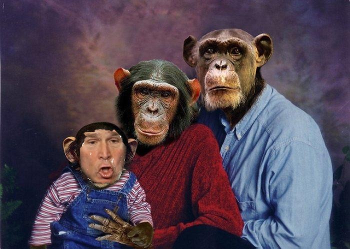 Bush-monkey-Family.JPG