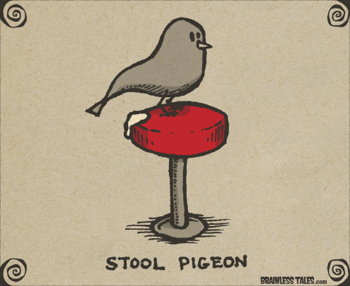 stool-pigeon.jpg