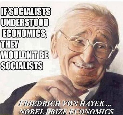 Socialists-Hayek-512.jpg