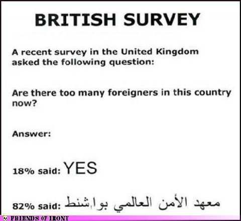 33831d1313962128-funny-political-cartoons-memes-british-survey.jpg