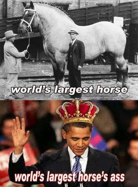Worlds-Largest-Horse.jpg