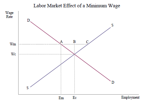 labor-market-effect-min-wage.gif