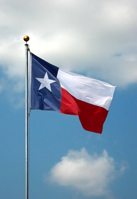 Texas_Flag_Store_-_ApexFlags_dot_com-EasyPics.jpg
