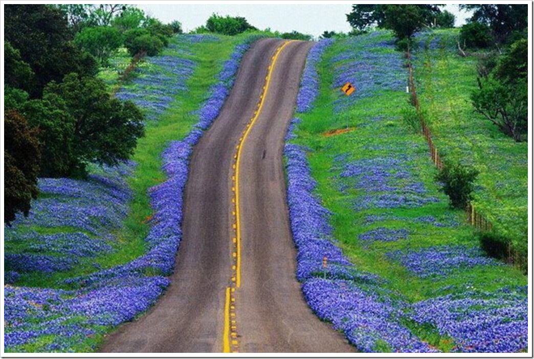 Texas-hill-country-blue_thumb.jpg