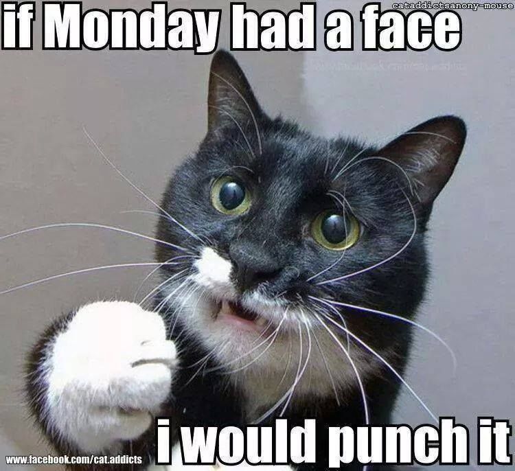 243528-If-Monday-Had-A-Face-I-Would-Punch-It.jpg
