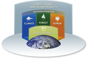 Forest_Change_Adaptation_300transp.jpg