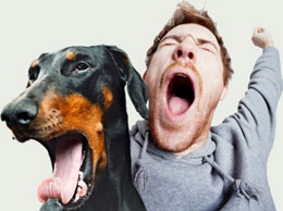purpose-of-yawning.jpg