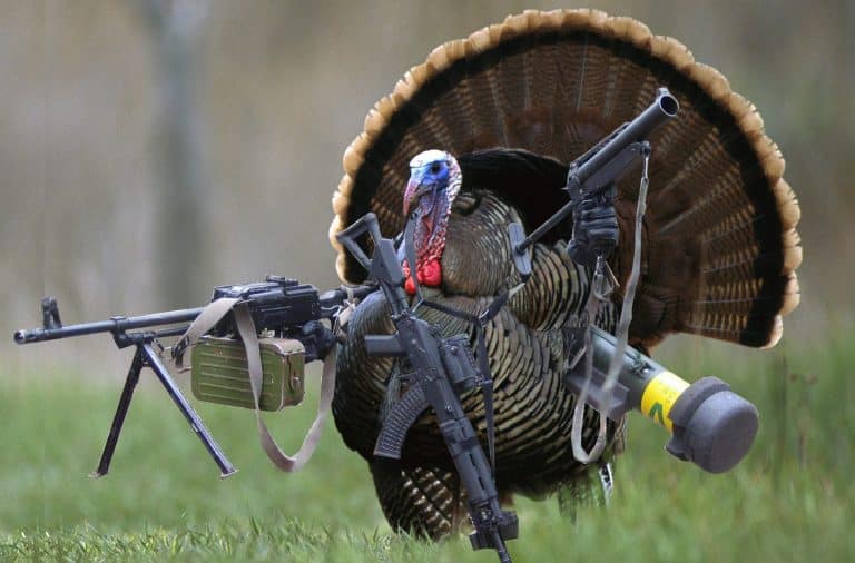 turkey-with-guns-768x506.jpg