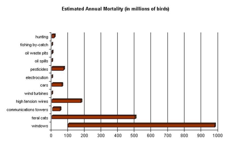 Bird_mortality_chart.jpg