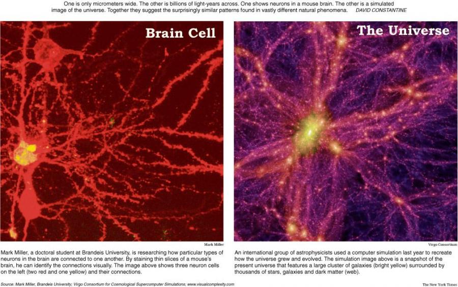 brain_cell-universe.jpg