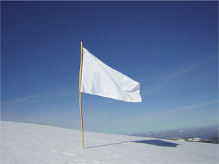 White-Flag-Small.jpg