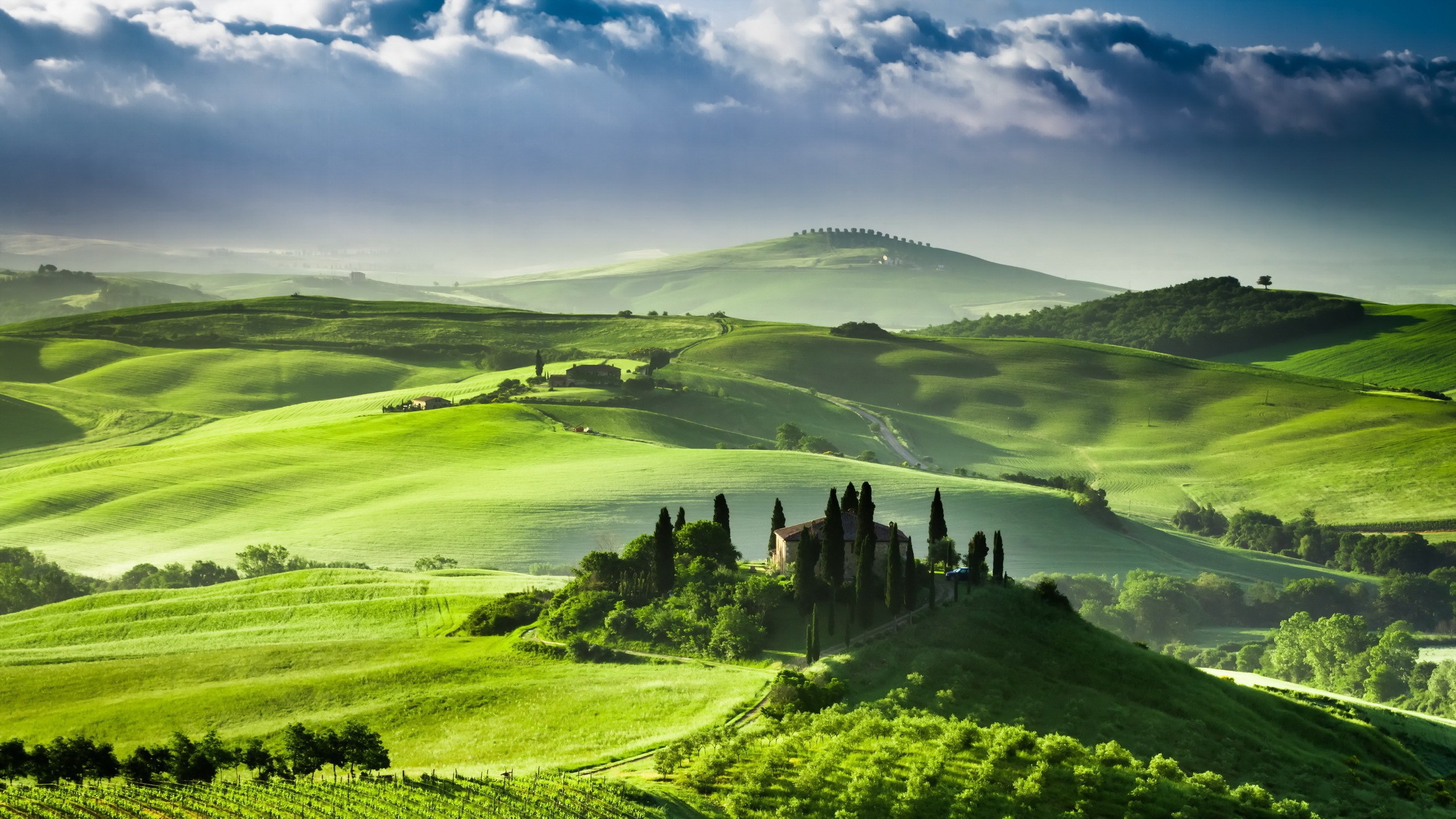 Nature___Fields_Green_landscape_Italy_079034_.jpg