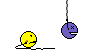 whip :whip: :whip: